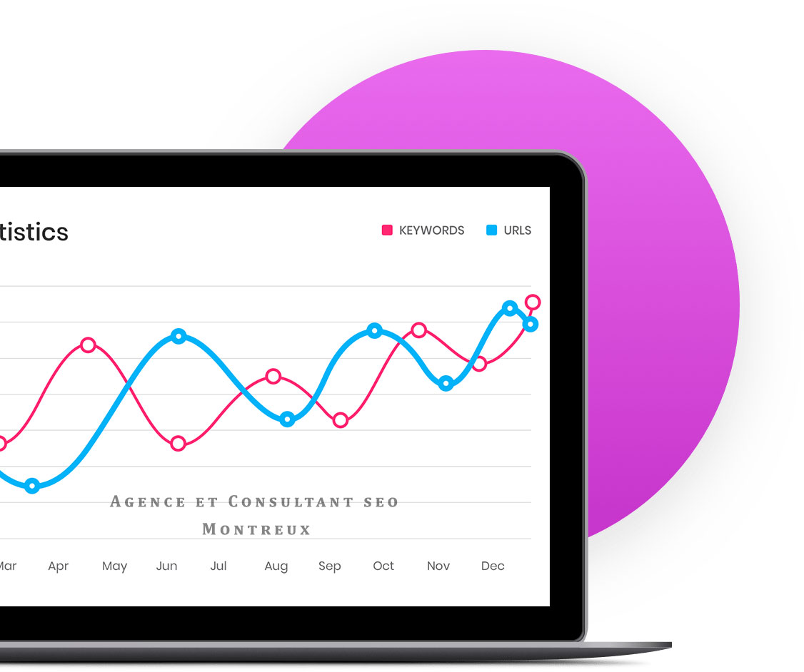 Stratégie SEO adaptée aux entreprises de Montreux Consultant SEO travaillant sur un audit de site internet pour une entreprise de Montreux