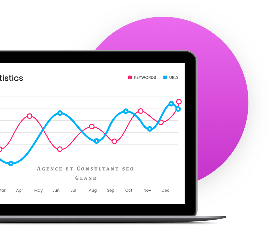 Agence SEO à Gland pour optimiser votre visibilité sur Google Consultant SEO travaillant sur l’optimisation d’un site internet pour une entreprise de Gland