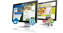 Agence web de création site internet en Suisse Romande Agence web de création site internet en Suisse Romande